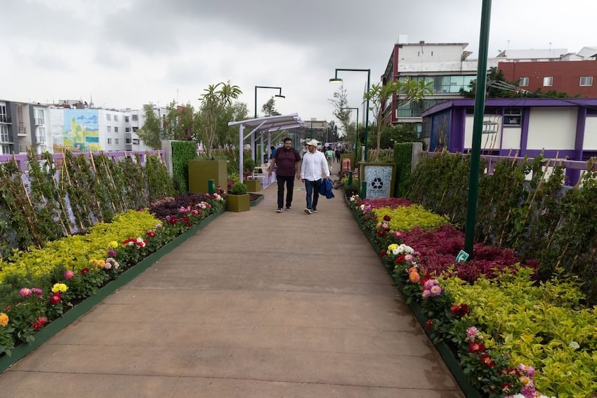 Tlallipan Floating Garden