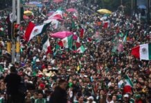 fan crowd