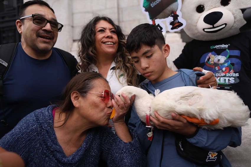 Woman kissing Merlin the Duck