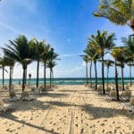 A beach filled with palm trees and beach chairs