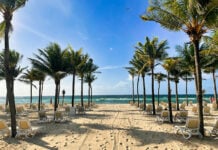 A beach filled with palm trees and beach chairs