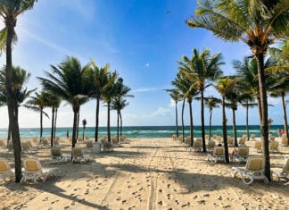 A beach filled with palm trees and beach chairs