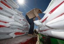 bags of fertilizer