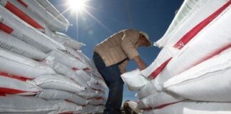 bags of fertilizer