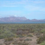 The mountains of Isla Tiburón, seen from Sonora, with cactus and desert vegetation in the foreground