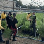 Members of Maná at a tree nursery