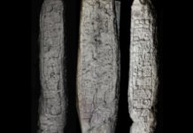 Stela 46