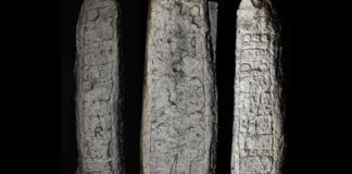 Stela 46