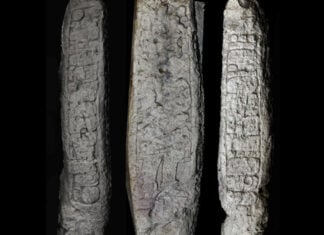 Stela 46