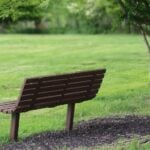 An empty bench in a generic park