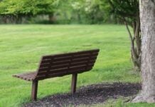 An empty bench in a generic park