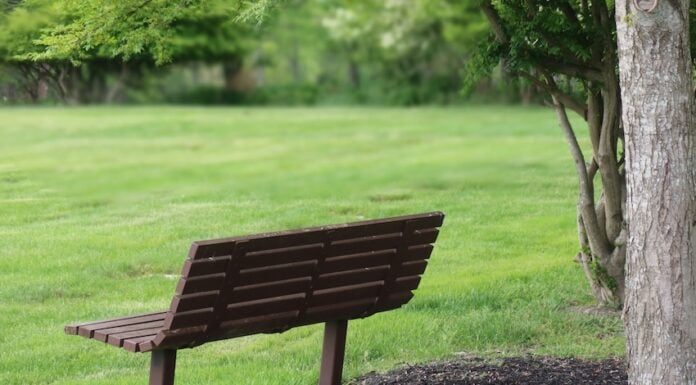 An empty bench in a generic park