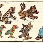 Zoo of Moctezuma