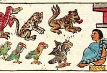 Zoo of Moctezuma