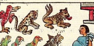 Zoo of Moctezuma