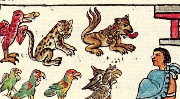 Zoo of Moctezuma