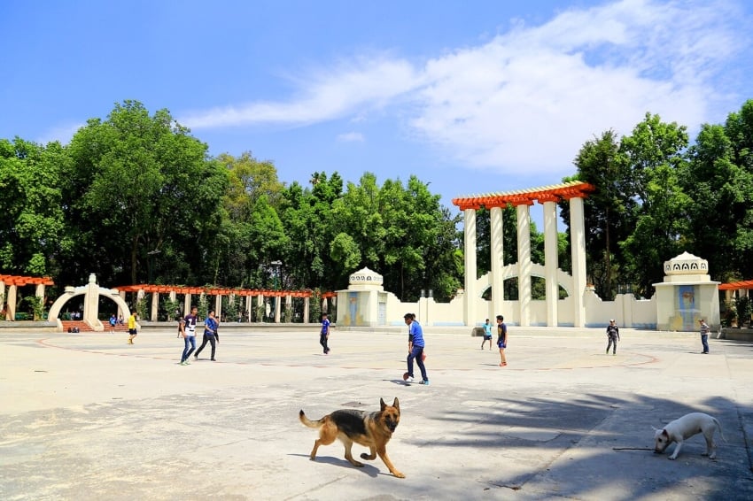 Parque México in Mexico City, with people walking and dogs running free