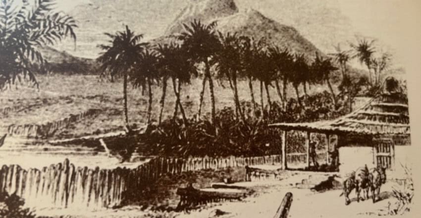 J.Ross Browne illustration from "Explorations in Lower California" that shows Santa Anita in Los Cabos in 1866
