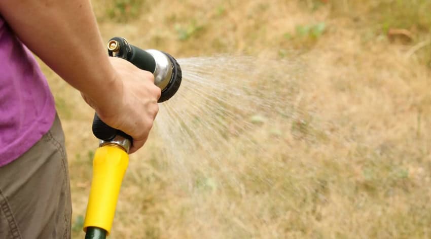 watering brown grass with a hose