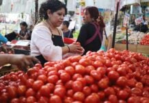 Tomatoes, which had been steadily rising in price since the beginning of 2026, were down 39% in June compared to May.