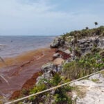 Sargassum covers the beaches of the Tulum archaeological site on July 17