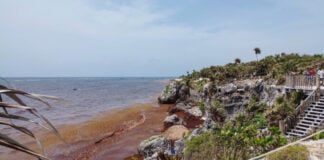 Sargassum covers the beaches of the Tulum archaeological site on July 17