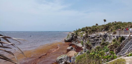 Sargassum covers the beaches of the Tulum archaeological site on July 17