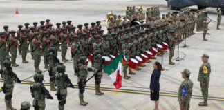 returnees