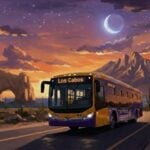An illustration of a Ruta del Desierto bus in Los Cabos