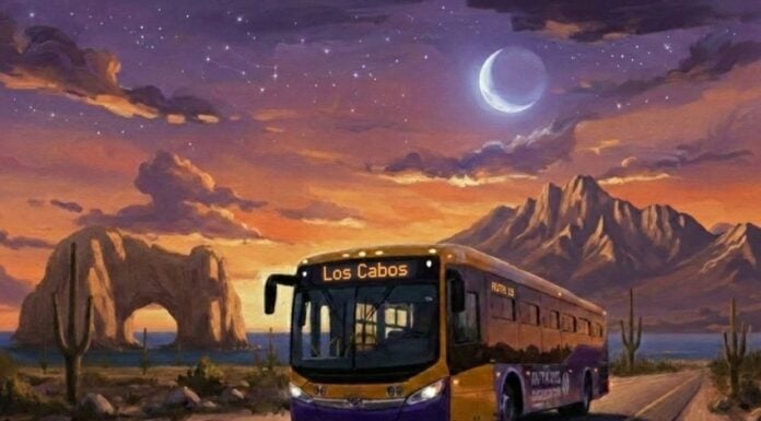 An illustration of a Ruta del Desierto bus in Los Cabos