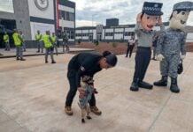 National Guard dog