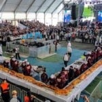 Guinness record torta