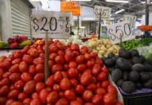tomatos at mercado