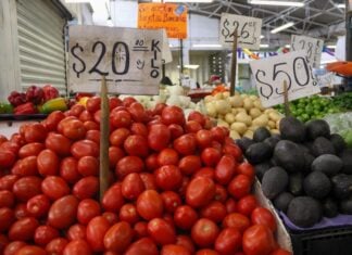 tomatos at mercado