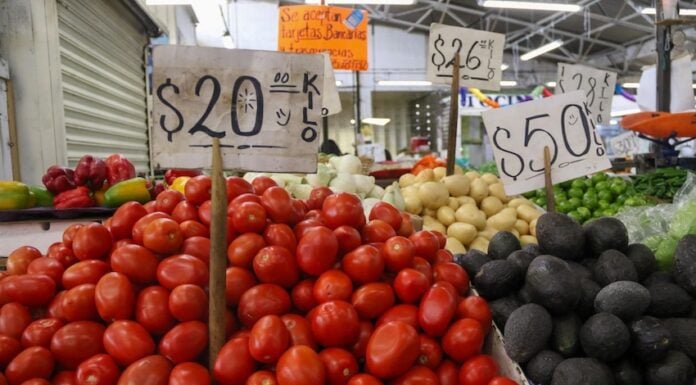 tomatos at mercado