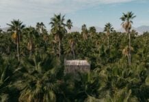 Acre Resort treehouse in Los Cabos