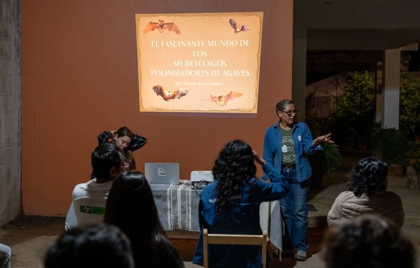Teaching locals about the importance of bats in Oaxaca