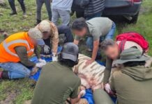 tiger rescue