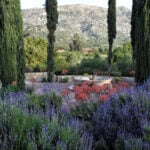 A courtyard at Rancho La Puerta in Baja California, Mexico, ranked the No. 1 wellness resort in the world.