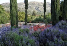A courtyard at Rancho La Puerta in Baja California, Mexico, ranked the No. 1 wellness resort in the world.
