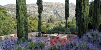 A courtyard at Rancho La Puerta in Baja California, Mexico, ranked the No. 1 wellness resort in the world.