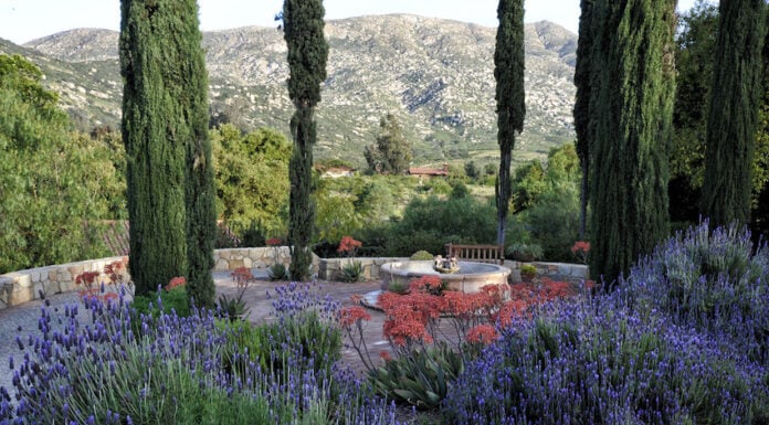 A courtyard at Rancho La Puerta in Baja California, Mexico, ranked the No. 1 wellness resort in the world.