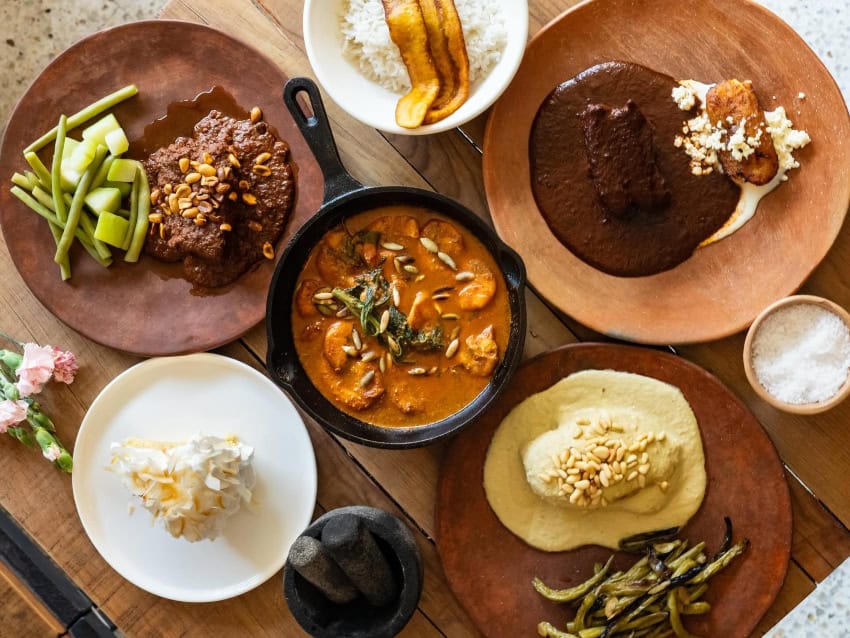 Múcara sampling of plates in Xalapa, Veracruz