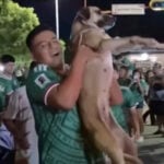 dog celebrating