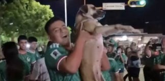 dog celebrating