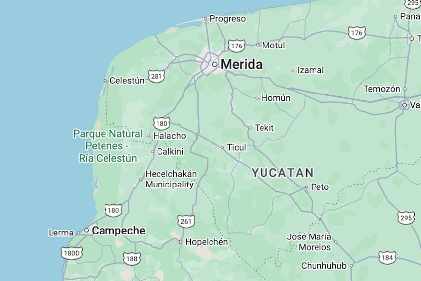 Campeche’s bees, vital for Indigenous bioculture, present their case for legal rights