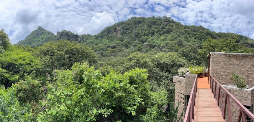 Framing nature through architecture: An interview with acclaimed architect Diego Villaseñor