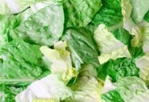 pieces of lettuce