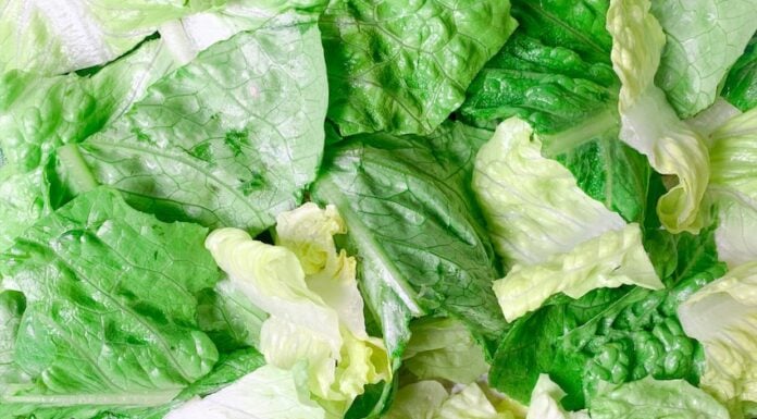 pieces of lettuce