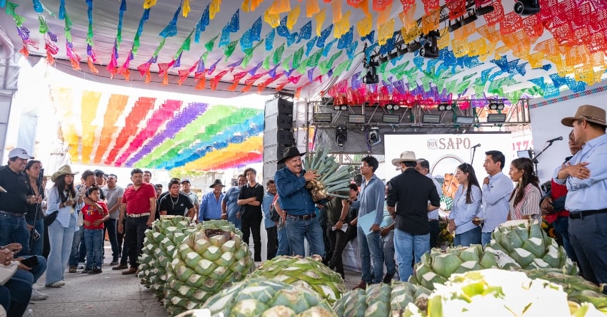 Agave hearts displayed at the 2026 Feria del Mezcal in Oaxaca